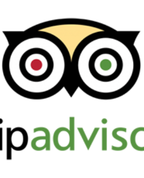 Travel Profile – Trip Advisor