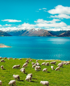 New Zealand