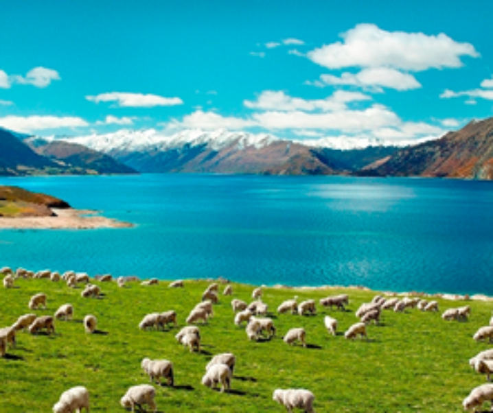 New Zealand